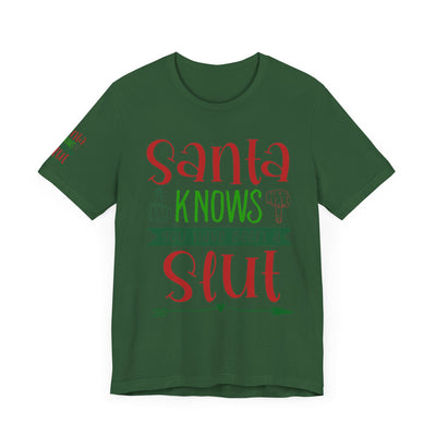 Santa Knows You're a Slut Unisex Tee