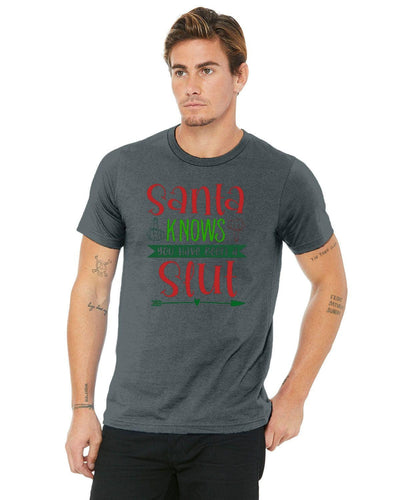 Santa slut tee shirt dirty slut Santa knows your a slut naked Santa bad Santa cunt dirty xmas cunt slut shirt about slut shaming slut